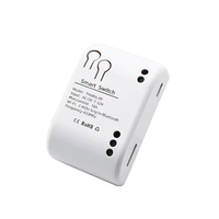 Interrupteur intelligent Wi-Fi Tuya 1 canal, relais à impulsions RF 433 MHz avec télécommande radio pour Alexa Google Home