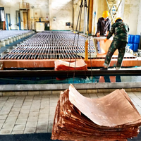Industrielle Maßgefertigte Elektrolysemaschine für Kupfer-, Kobalt- und Nickel-Erzextraktion im Hydrometallurgieprozess