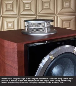 Loa HIFI cao cấp KYYSLB 12 inch, dành cho rạp hát gia đình, khu biệt thự, tích hợp amply karaoke, chất lượng âm thanh cao cấp - Product Image 3