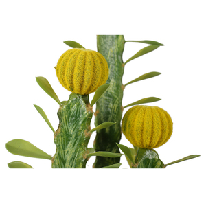 Vendita diretta in fabbrica 61cm barile <span class=keywords><strong>Cactus</strong></span> pianta artificiale alto <span class=keywords><strong>Cactus</strong></span> piante <span class=keywords><strong>Cactus</strong></span> Saguaro artificiale in vendita - Product Image 3