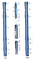 Pompe à tiges aspirantes API 11AX 20-125RHAC 25-175RHAC 30-225RHAC, équipement pétrolier personnalisé