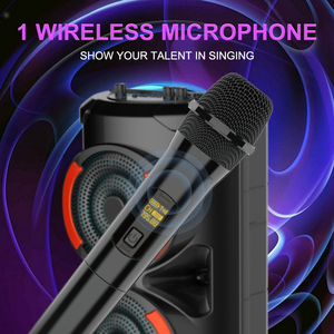 Sing-e zqs3601 chuyên nghiệp 6-inch công suất cao loa siêu trầm karaoke Microphone loa với <span class=keywords><strong>BT</strong></span> DC Microphone bán buôn - Product Image 6