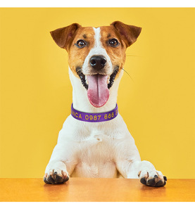 Kingtale riflettente personalizzato <span class=keywords><strong>collare</strong></span> di <span class=keywords><strong>cane</strong></span> personalizzato ricamato con il <span class=keywords><strong>nome</strong></span> di animale domestico e numero di telefono per il ragazzo e la ragazza cani regolabile - Product Image 6