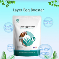 Additifs vitaminiques pour l'alimentation animale : Stimulateur de ponte pour poules, stimulateur de croissance pour poulets de chair, multivitamines pour la ponte, poudre soluble pour volailles et dindes