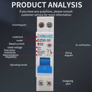 CHRMSHDG 开关交流断路器 DZ30-32 主开关直流断路器 LANGTONG ELECTRIC - Product Image 5