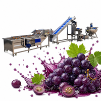 Lini Produksi Jus Buah Lengkap Otomatis, Pabrik Pengolahan Pencucian, Pemotongan, dan Pengerasan Buah