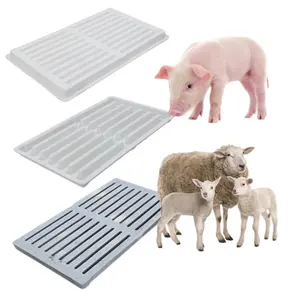 Factory directly supply durable pig slat floor plastic mold