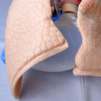 Mannequin de gestion des voies respiratoires en PVC grandeur nature pour la décompression des obstructions, la manœuvre de Sellick et le sac de réanimation multi-usage