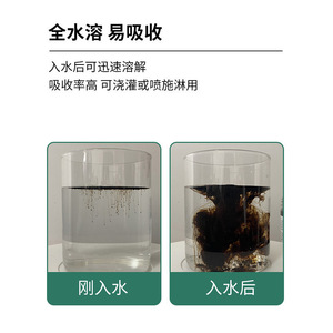 Activateur de sol soluble dans l'eau, humate de potassium à libération lente, conditionneur de racines, améliorant de la qualité du sol pour les plantes, en poudre - Product Image 4