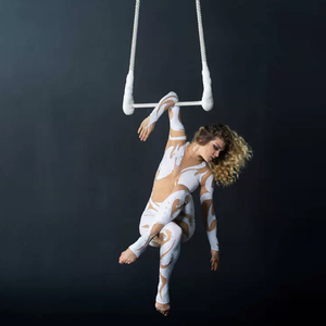 NOUVEAU Anneau de <span class=keywords><strong>suspension</strong></span> rotatif en acier inoxydable pour yoga aérien Fitness pour acrobaties Circus Aerial Lyra Hoop Set Aerial Ring - Product Image 1