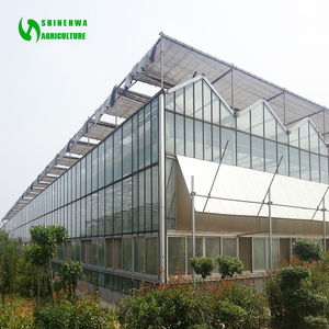 Grote Kas Voor Aardbei Landbouw In Mexico Landbouwproduct Met Verwarmingsapparatuur En Glazen Bedekking - Product Image 2