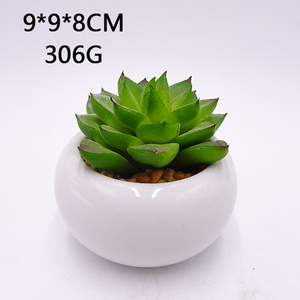 Petites Fausses <span class=keywords><strong>Plantes</strong></span> Succulentes Artificielles <span class=keywords><strong>Plantes</strong></span> en Pots Chambre Chambre Bureau Étagère <span class=keywords><strong>Salle</strong></span> <span class=keywords><strong>de</strong></span> <span class=keywords><strong>Bain</strong></span> Décor Mini Cactus en Plastique - Product Image 4