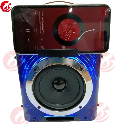 Casa Hifi effetto altoparlante Audio microfono senza fili Party Ktv altoparlante Bluetooth Karaoke Subwoofer microfono portatile Karaoke famiglia Oem