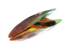 Поставка, пищевая добавка, сушеный порошок гриншелл, сублимированный зеленый порошок мидии - Product Image 5