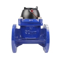 Compteur d'eau extérieur OEM IP68 à aimant pour l'irrigation agricole DN50-DN300 Multi-Jet