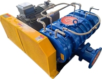 Souffleur d'air industriel chinois, souffleur Roots, moteur, compresseur pour traitement des eaux usées, aération aquaculture, haute efficacité 500L/heure