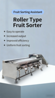 Industriële elektrische roestvrijstalen fruit- en groentesorteermachine met PLC voor fruitverwerkingsbedrijven, multifunctioneel