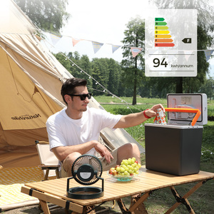 Evercool-<span class=keywords><strong>Nevera</strong></span> eléctrica portátil para <span class=keywords><strong>coche</strong></span>, caja de refrigeración eléctrica, 12V, CA, CC, CE, Rohs, para acampar al aire libre, Picnic, Semiconductor - Product Image 2