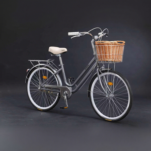 Bicicleta de <span class=keywords><strong>Paseo</strong></span> Urbana para <span class=keywords><strong>Mujer</strong></span>, de 26 Pulgadas, con Cuadro de Acero, de Una Velocidad, con Freno de Contrapedal, Ideal para la Ciudad y el Ocio, la Mejor Oferta de Fábrica - Product Image 1
