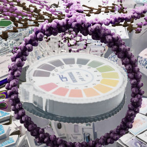 XZ LAB SUPPLIES Rouleaux de 5m universels 0-14 pH pour bandelettes (80x5mm) pour <span class=keywords><strong>analyse</strong></span> d'urine de jus d'<span class=keywords><strong>eau</strong></span> cosmétique de laboratoire-25 paquets/carton - Product Image 2