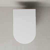 VIVI SS-06 Vente directe usine Sanitaire intelligent en céramique monobloc à poser au sol, allongé, à double chasse automatique