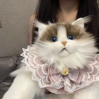Peluche réaliste Ragdoll chat sac à dos mignon chaton poupée peluche jouet Simulation Animal sac à bandoulière cadeau de noël PP coton