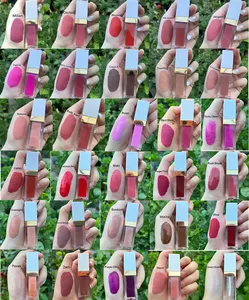 OEM Sexy Matte Lipstick Makeup 30 Colors Nude Long Lasting Pigment Waterproof Lips Stick
