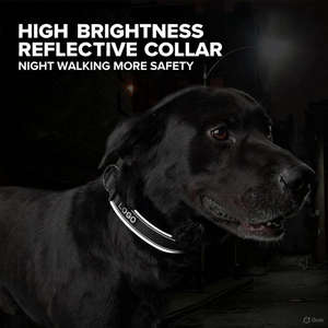 Collier pour <span class=keywords><strong>chien</strong></span> en nylon qui brille dans le noir, petit MOQ, logo personnalisé, anneau métallique réfléchissant, réglable, durable pour les grands chiens - Product Image 3