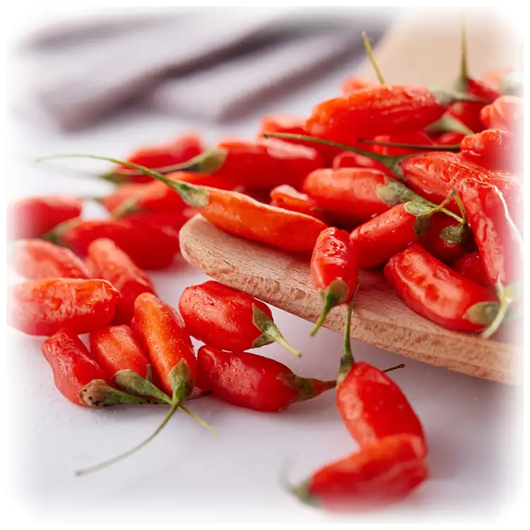 Свежие ягоды Годжи Red Power QIZITO semilla de, сладкие ягоды Годжи