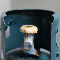 Film thermorétractable en PVC pour bouteilles de gaz GPL, forme personnalisée, sensible à la chaleur, pour la sécurité des bouteilles de jus, directement de l'usine Guozhao