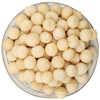Origin China Wholesale Macadamia Nuts Kernel Natural Delicious Raw Macadamia Nuts