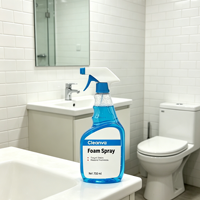Pulvérisateur à gâchette HDPE 750 ml personnalisé avec logo couleur pour élimination des taches liquides, nettoyage et désodorisant maison, chambre, toilettes, cuisine