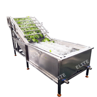 Industriële groentewasmachine met bubbelsysteem |   Automatische fruitverwerkingsapparatuur voor voedselproductielijnen