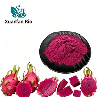 Groothandel Voedingsmiddelenkwaliteit Natuurlijk Gesprayd Gedroogd Rood Pitaya Poeder Bulk Dragon Fruit Poeder Trommel voor Drankjes Bakken Supplement Cosmetica