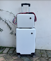 Ensembles de bagages de voyage de créateur en gros, valises à roulettes portables pour le transport transfrontalier