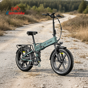 Fatbike pliant 20 pouces vélo électrique IP54 phare feu de frein LED écran 4 pouces 5 niveaux d assistance pedelec 250W - Product Image 1