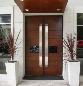 Seeyesdoor Porte Jardin alüminyum tasarım görünmez çerçeve açık güvenlik kapısı evler için