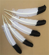 Teint Vert Plume De Dinde Pour Artisanat DIY Coiffe Chapeau Cheveux Costume Accessoire Carnaval Fête De Mariage Maison Floral Décor
