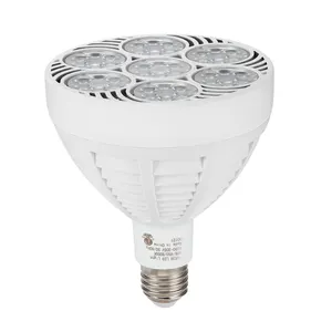 중국에서 만든 알리 10 년 황금 공급 업체 6 & 7 그룹 60W 65W LED 10000K PAR38 보석 조명