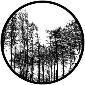 Logo en verre gobo personnalisé, sur mesure, 30 mm, 37 mm, 53 mm, 54 mm - Product Image 3