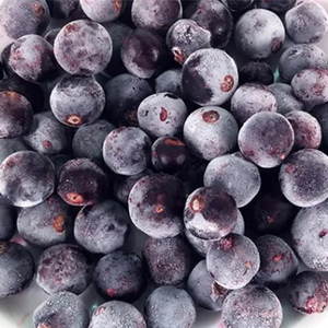 Vente en gros de cassis congelés IQF | Emballage de sac en papier en vrac de 10kg/25kg | <span class=keywords><strong>Prix</strong></span> direct d'usine pour les importateurs mondiaux - Product Image 3