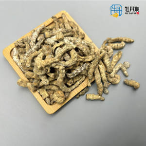 Gusanos de seda fritos de alta calidad Chao Jiang secos al por mayor precio bajo gran oferta buen gusto - Product Image 2