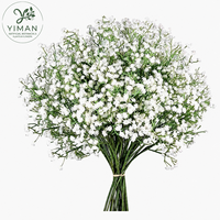 Fleurs artificielles YM Babys Breath, 6 pièces, Gypsophila au toucher réel pour la décoration de mariage, de maison, de jardin, la Saint-Valentin, la remise des diplômes
