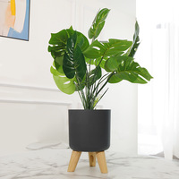 Pots en plastique auto-arrosants en gros pour jardiniers paresseux ; Arrangements de location pour salons, chambres et intérieurs
