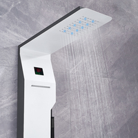 Panneaux de douche en acier inoxydable 304 brossé noir argenté, colonnes de douche, jets de spa en cascade, panneau de douche intelligent