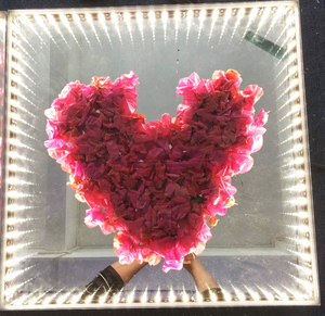 Flowers-Espejo Led 3D magnético, inalámbrico, para pista de baile, boda, fiesta, evento, alquiler, novedad - Product Image 3