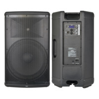Amplificateur de classe D Accuracy Pro Audio CBR15D3 500W avec écran DSP, enceinte active alimentée en plastique de 15 pouces, 15''