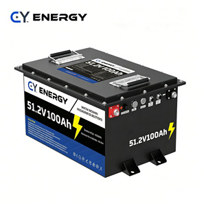 Paquete de Baterías de Iones de Litio de 51.2V 100Ah 8D con BMS Inteligente, Fuera de Red, 100A, 4000 Ciclos, Celdas de Grado A de Larga Duración (Más de 8 Años), 48V100Ah - Product Image 1