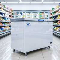 Congélateur coffre horizontal commercial grande capacité, double température (réfrigération et congélation), pour supermarché et cuisine