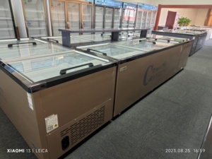 Congélateur commercial de haute qualité avec éclairage LED, vitrine pour crème glacée et viande, congélateur à porte coulissante double en <span class=keywords><strong>verre</strong></span> trempé - Product Image 2